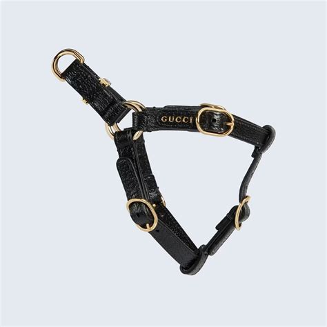 gucci black cat|Gucci dog collars and leashes.